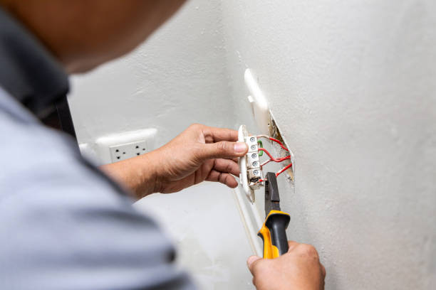 Best Electric Panel Repair  in Fmington, AR